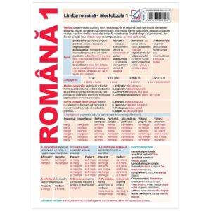 gmp37 Pliant limba romana - Morfologie 1