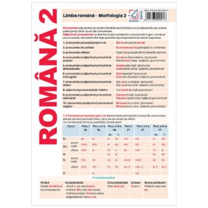 gmp38 Pliant limba romana - Morfologie 2
